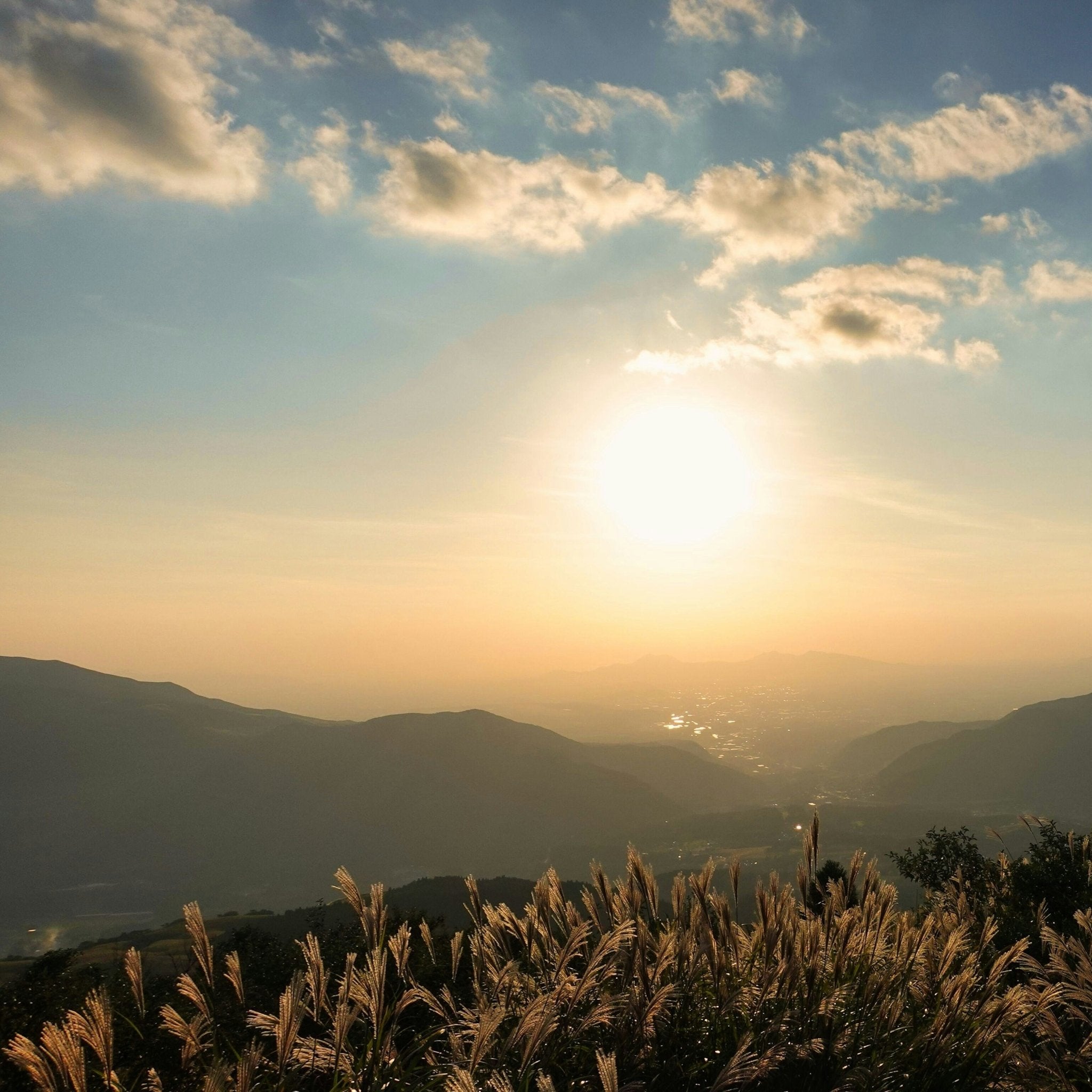 Ikigai: The secret to a long and happy life? - Altasphere