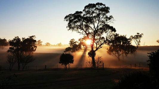 Why Australian-Made Matters at Altasphere - Altasphere