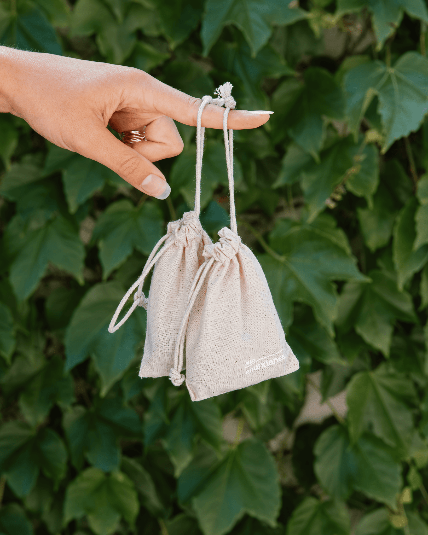 Abundace Intention Set - Altasphere