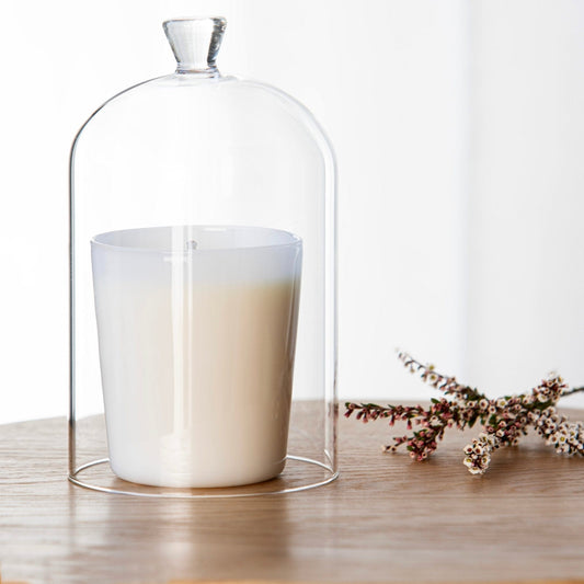 Alta Alta Glass Cloche Altasphere