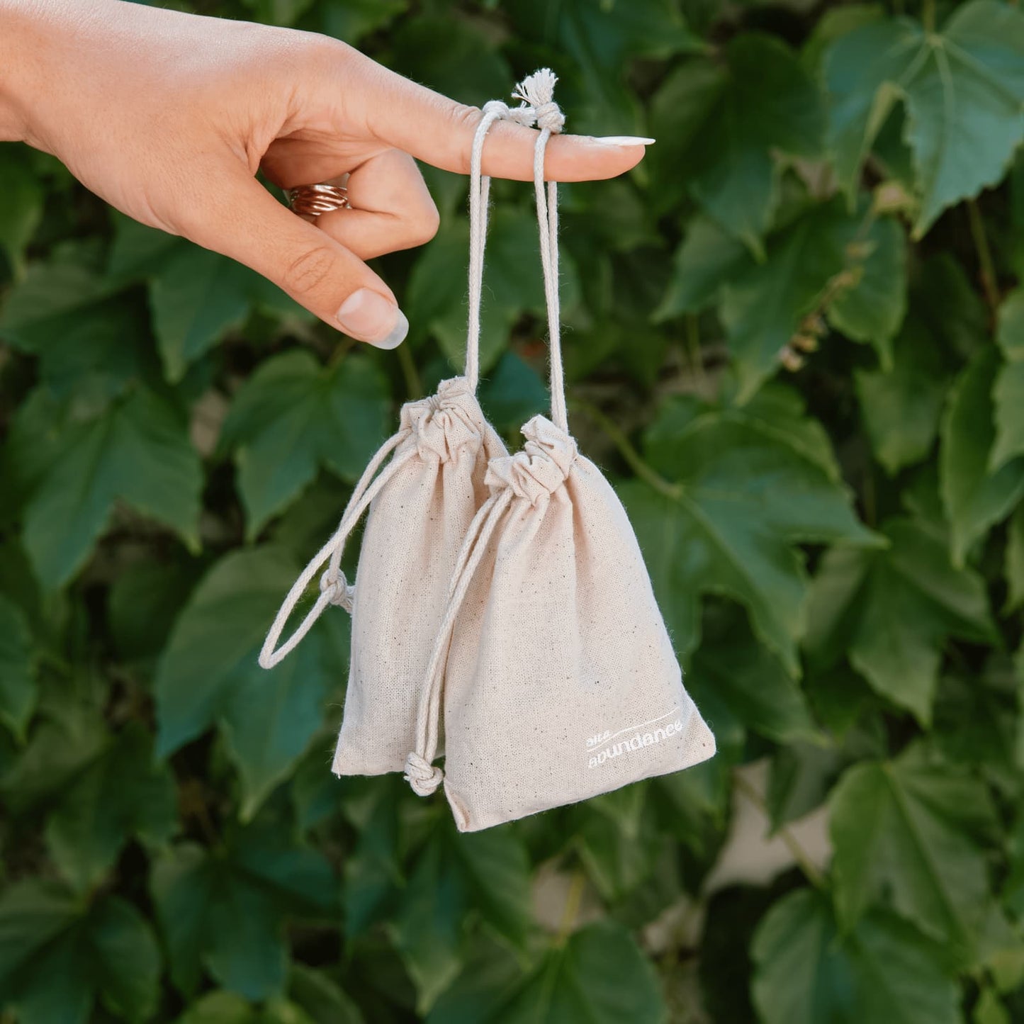 Alta Anxiety Ease Intention Set - Altasphere