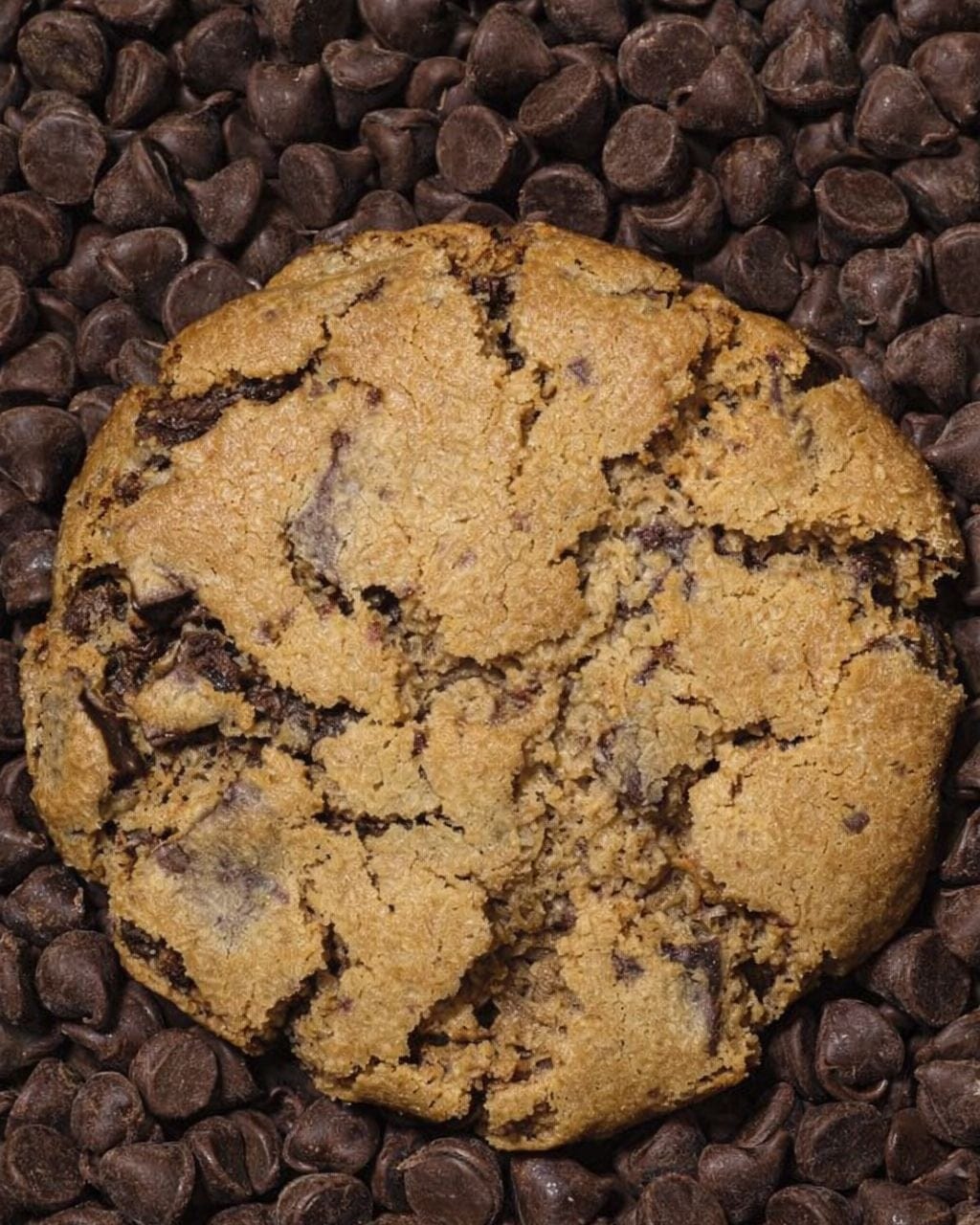 Choc Chip Cookies 2pk - Altasphere