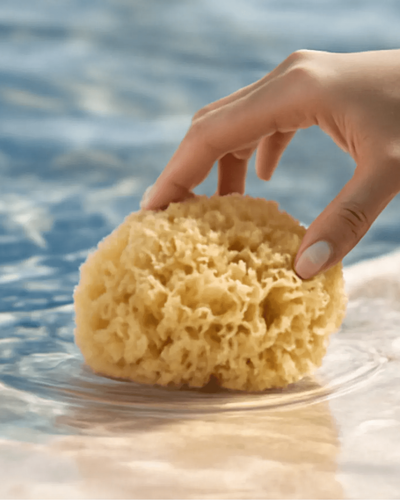 Honeycomb Bath sponge Luxe (12.5 - 14cm) - Altasphere