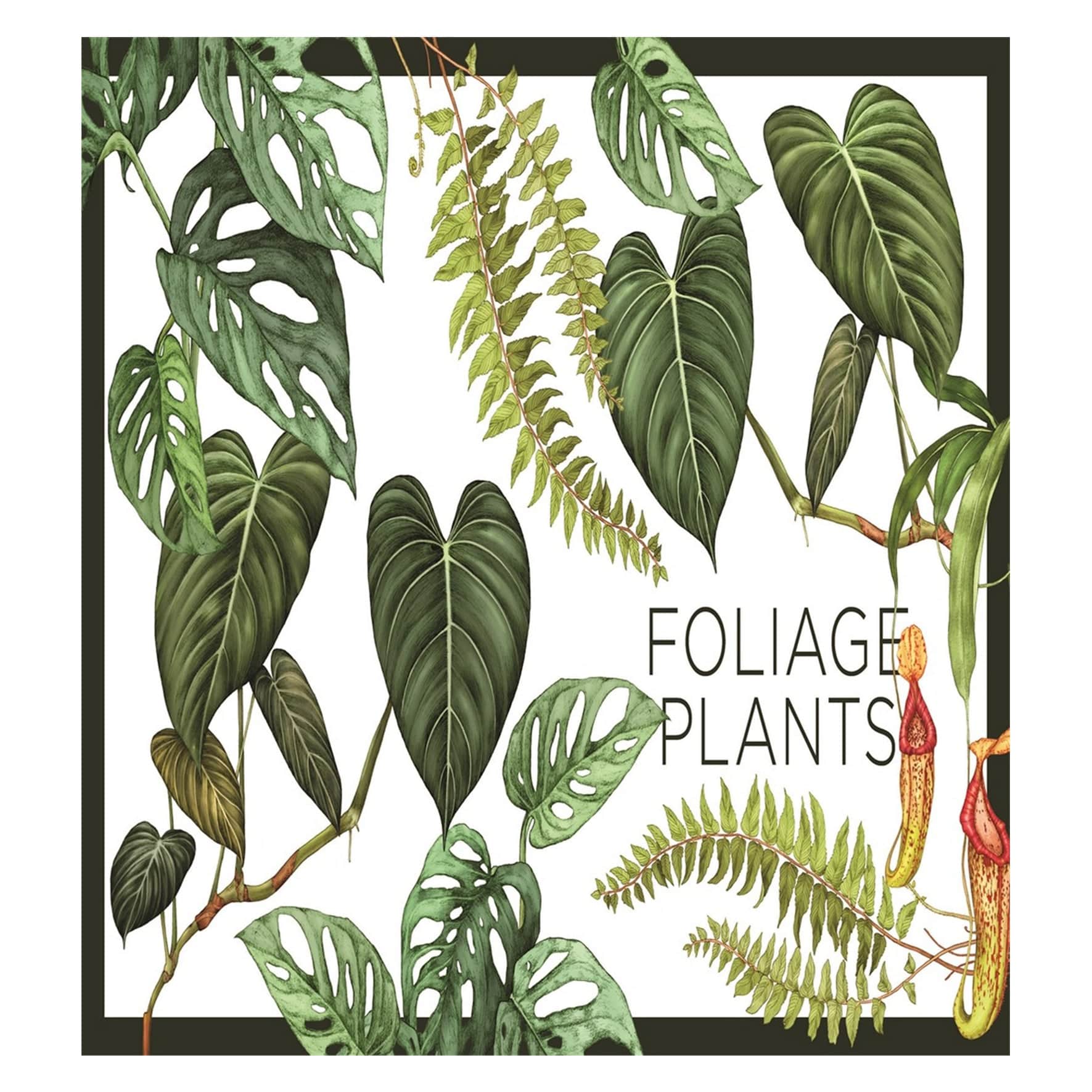 Plantopedia: The Definitive Guide To House Plants Altasphere