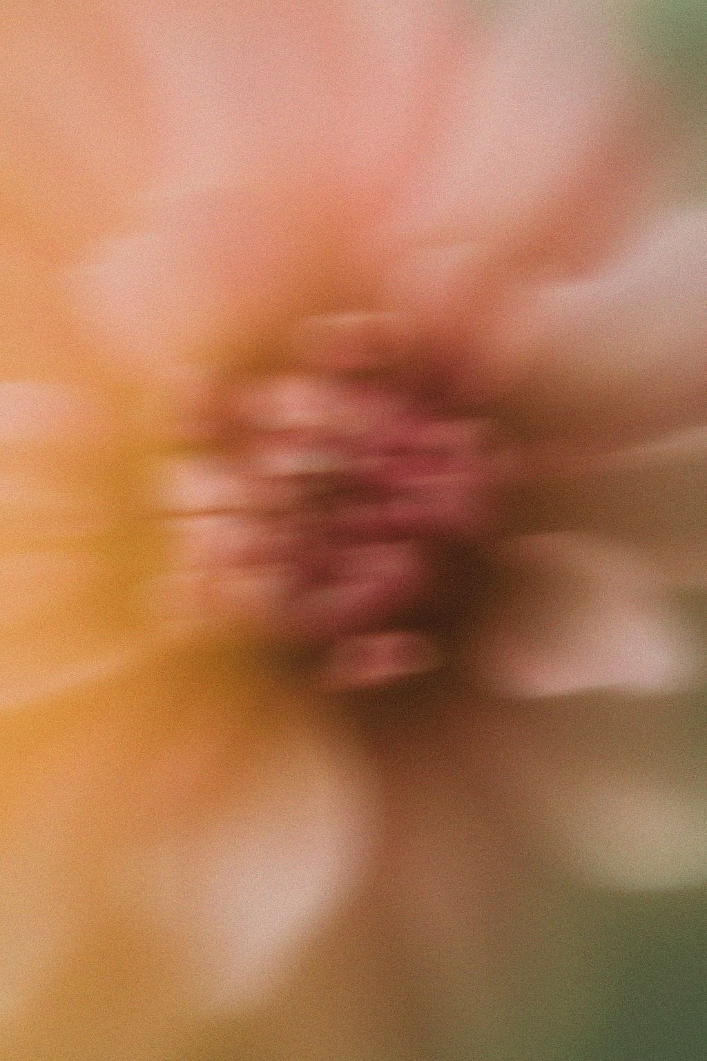 Blurred image of a flower with a soft focus