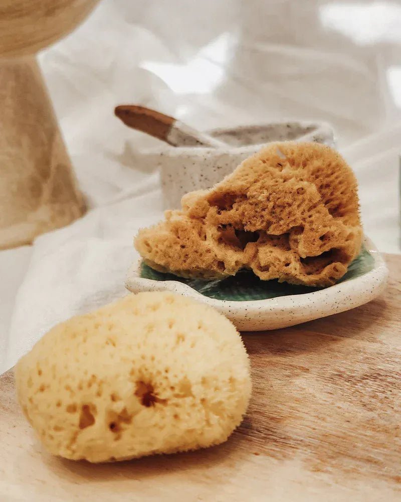 Facial Glow Duo - Natural Cleansing & Beauty Blender Set - Altasphere