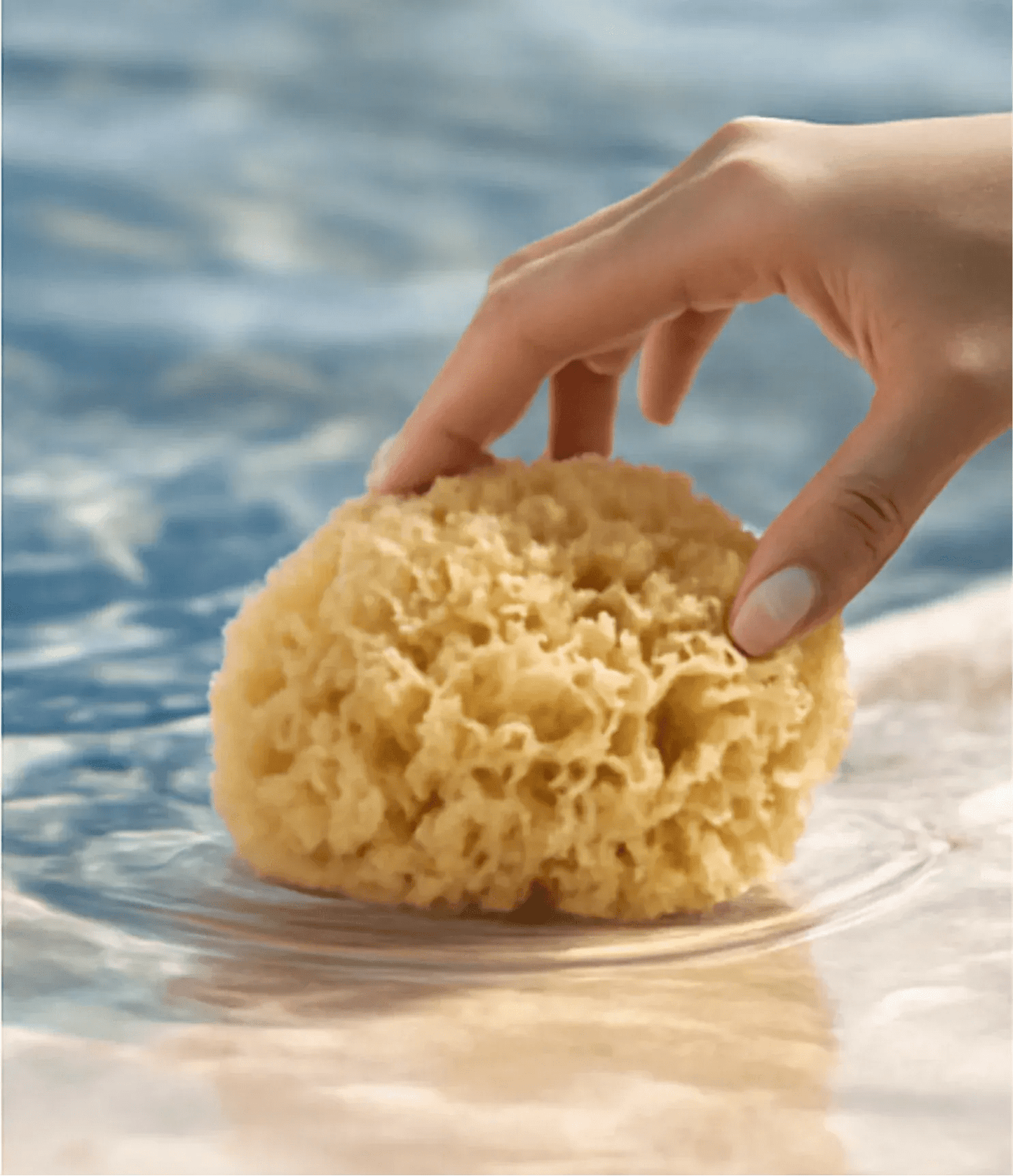 Honeycomb Bath sponge Luxe (12.5 - 14cm) - Altasphere