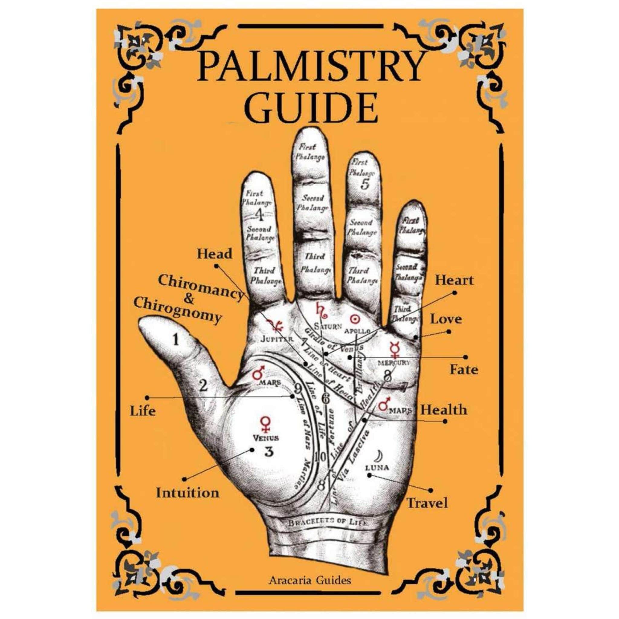 Palmistry Guide - Altasphere