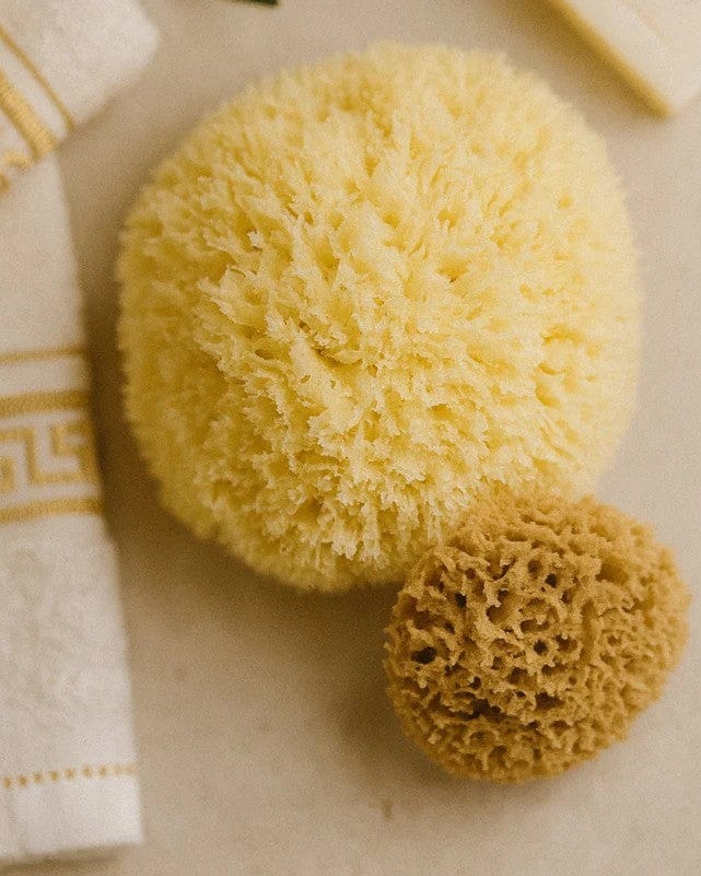 Radiant Ritual Set - Complete Face & Body Natural Sponge Bundle - Altasphere