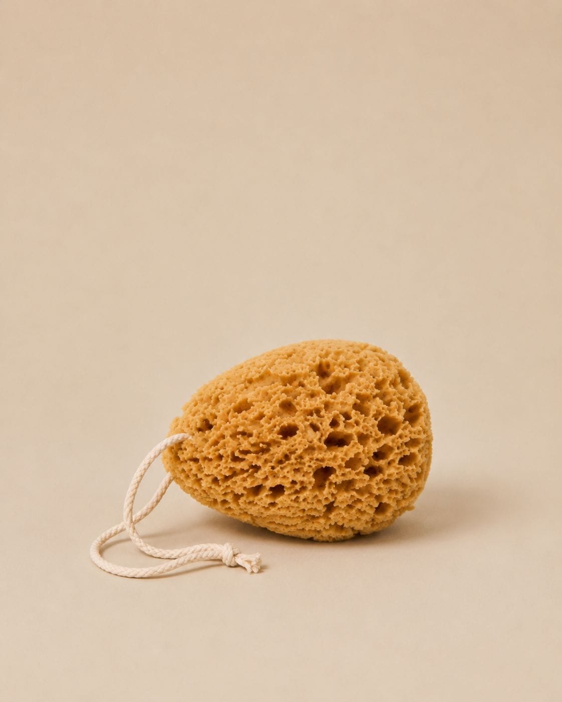 Sponge Wild Grass Exfoliating Sponge w Cord | 12.7-14cm Aqua Zoi
