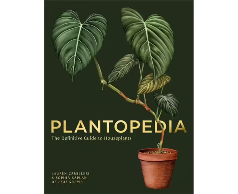 Plantopedia: The Definitive Guide To House Plants - Altasphere